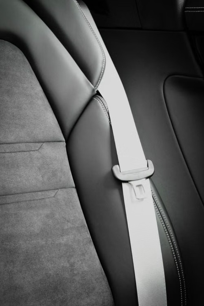 A pale silver seat belt running across a dark leather car seat, photographed in soft even light.